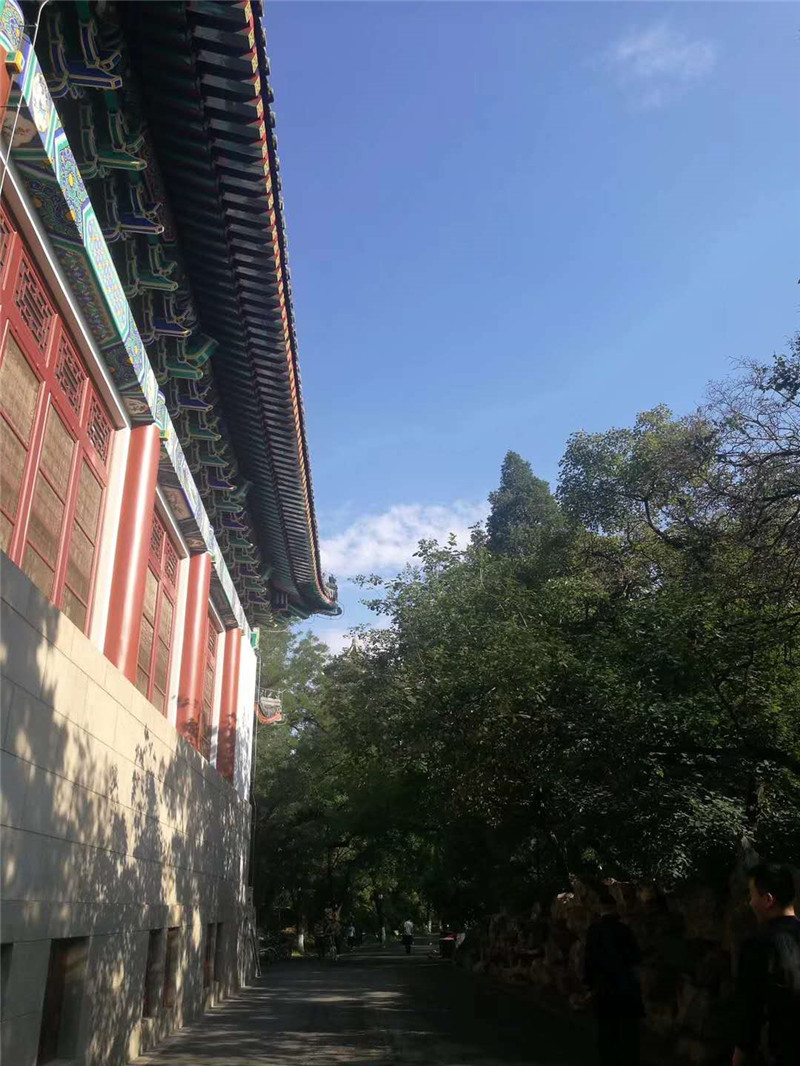 “应该禁止或征税电子烟企广告吗？”